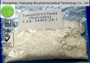 유력한 Nolvadex Tamoxifen 체중 감소 스테로이드 구연산염